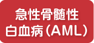 5月 急性骨髄性白血病（AML）