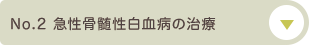 No.2 急性骨髄性白血病の治療について