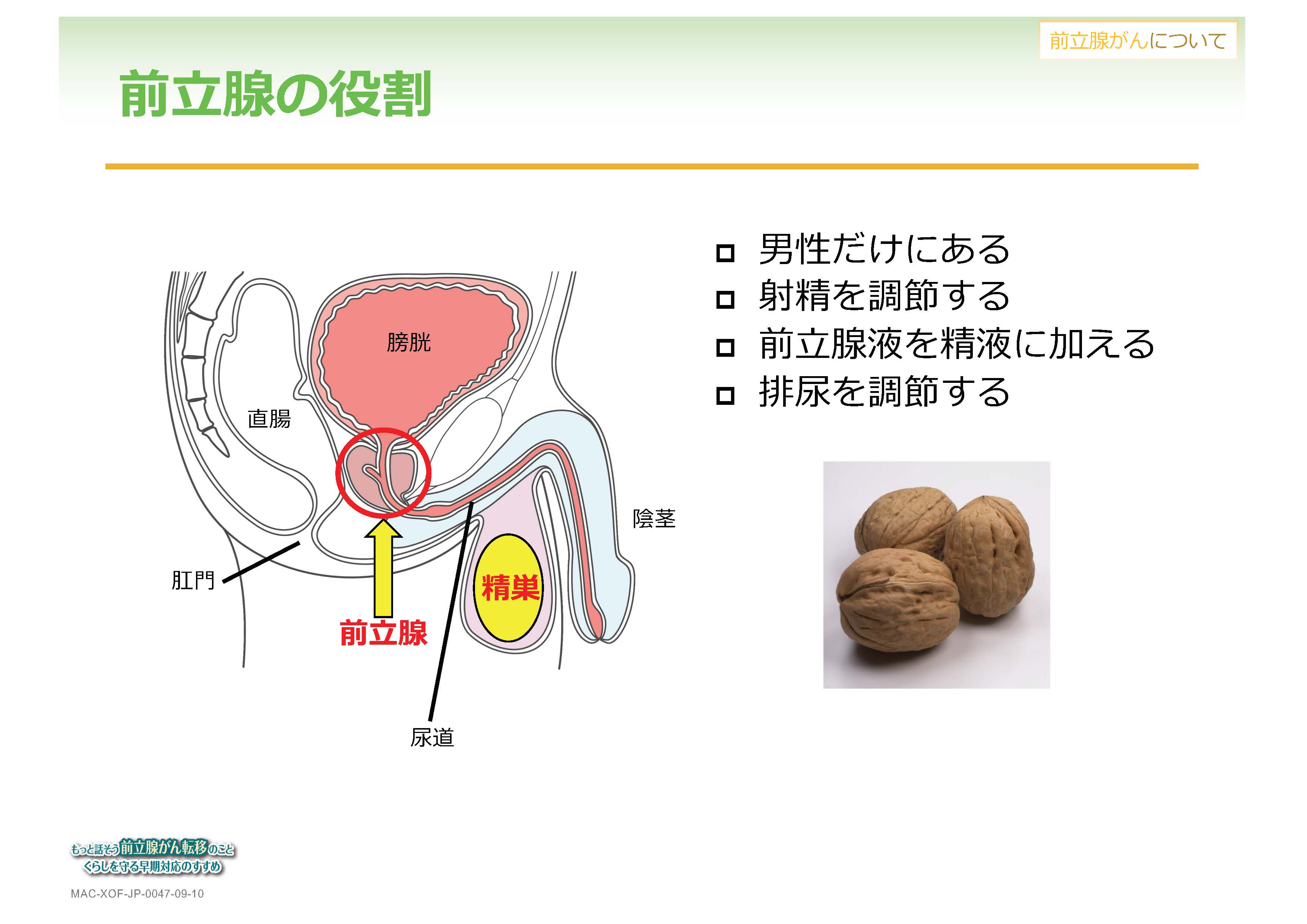食事と前立腺がん