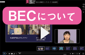 BECについて