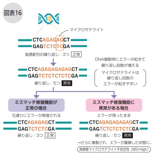 MSI検査とは？