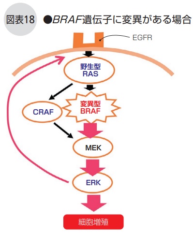 BRAF遺伝子に変異がある場合