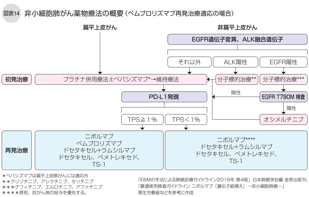 非小細胞肺がん薬物療法の概要（ペムブロリズマブ再発治療適応の場合）