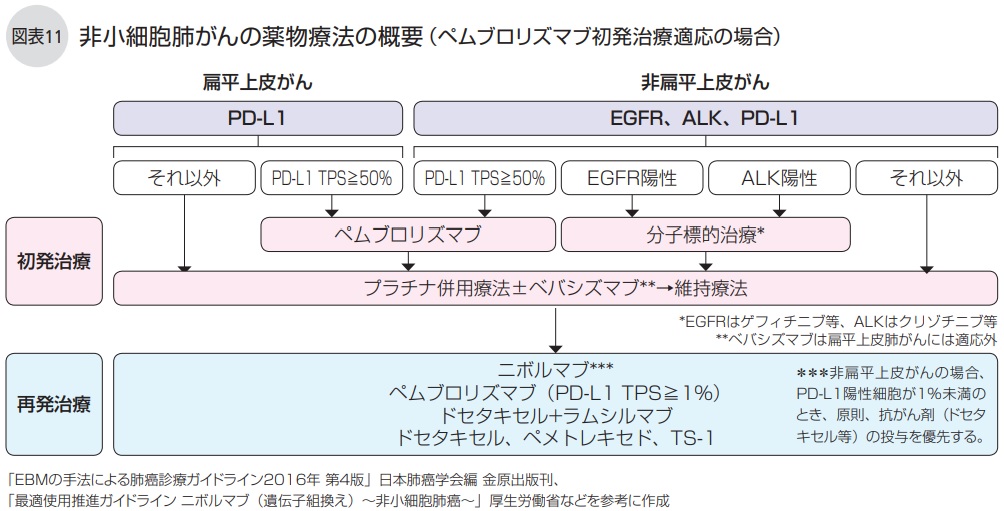 非小細胞肺がんの薬物療法の概要（ペムブロリズマブ初発治療適応の場合）