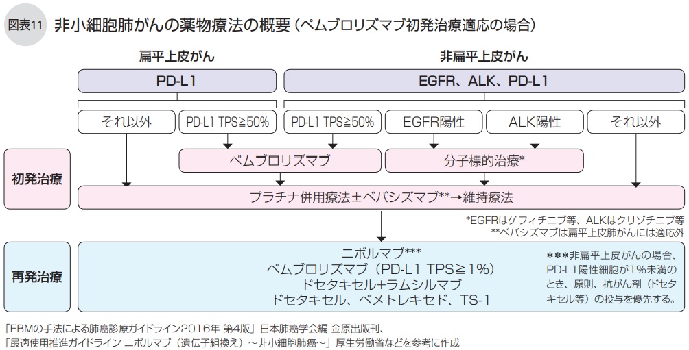 栄養がどのような役割を果たすか