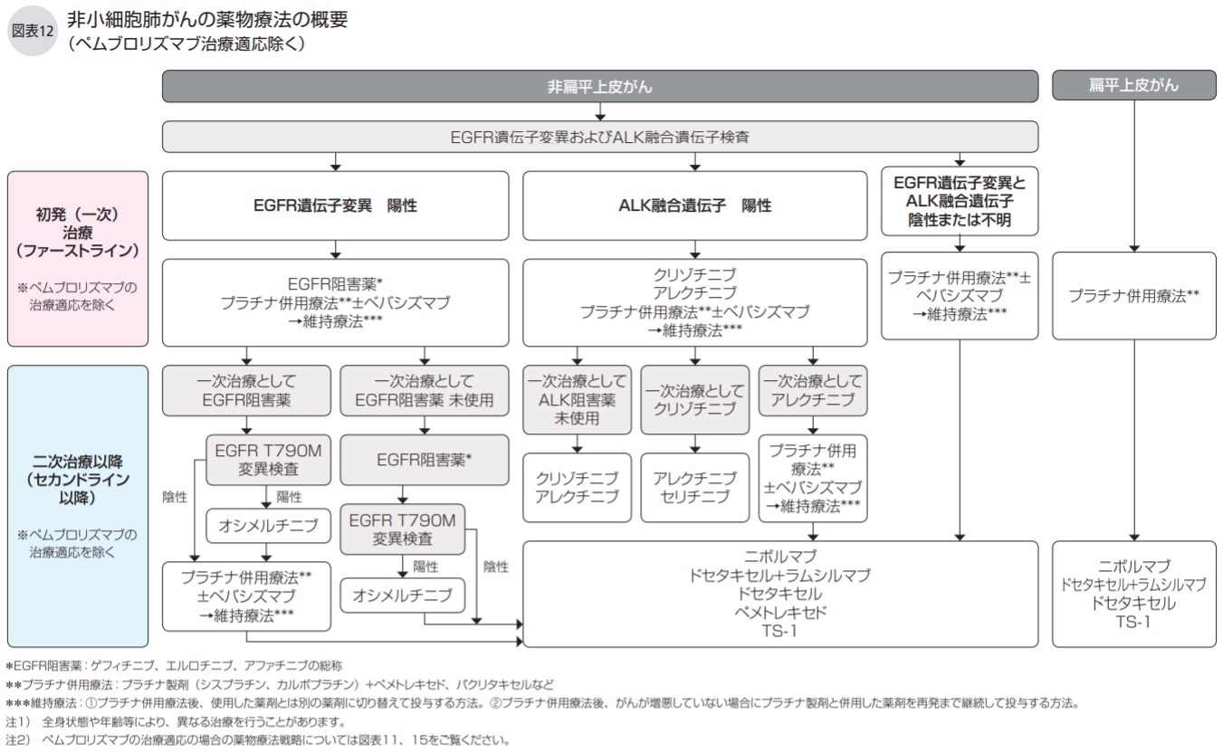 非小細胞肺がんの薬物療法の概要（ペムブロリズマブ治療適応除く）