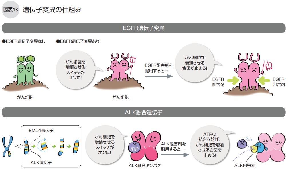 遺伝子変異の仕組み