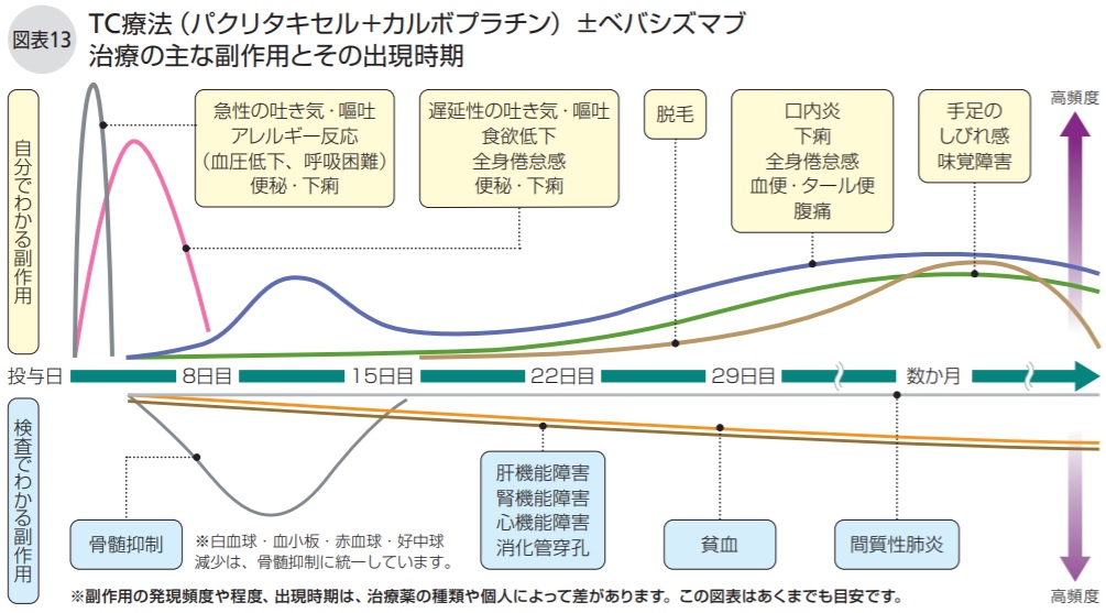 TC療法（パクリタキセル＋カルボプラチン）±ベバシズマブ治療の主な副作用とその出現時期