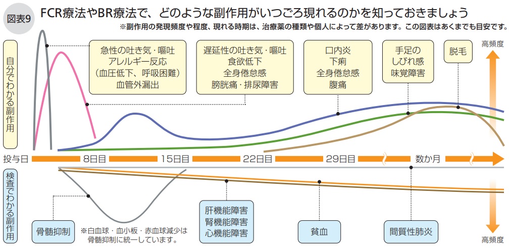 FCR療法やBR療法で、どのような副作用がいつごろ現れるのかを知っておきましょう