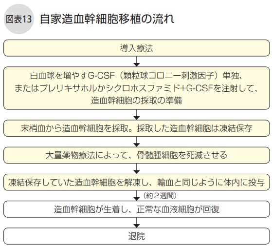 自家造血幹細胞移植の流れ