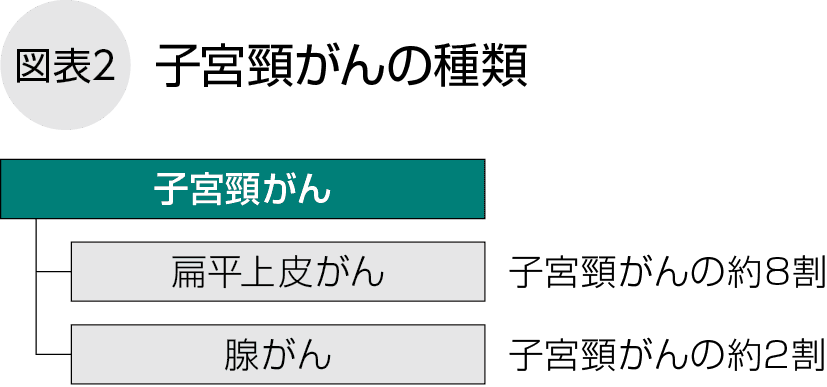 子宮頸がんとは | NPO法人キャンサーネットジャパン