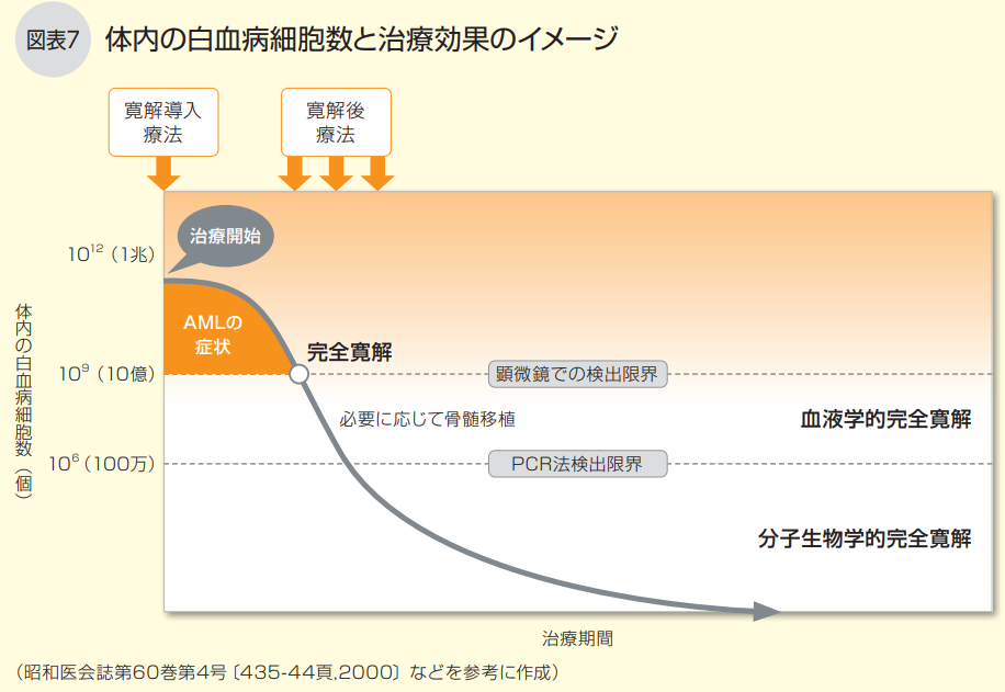 体内の白血病細胞数と治療効果のイメージ
