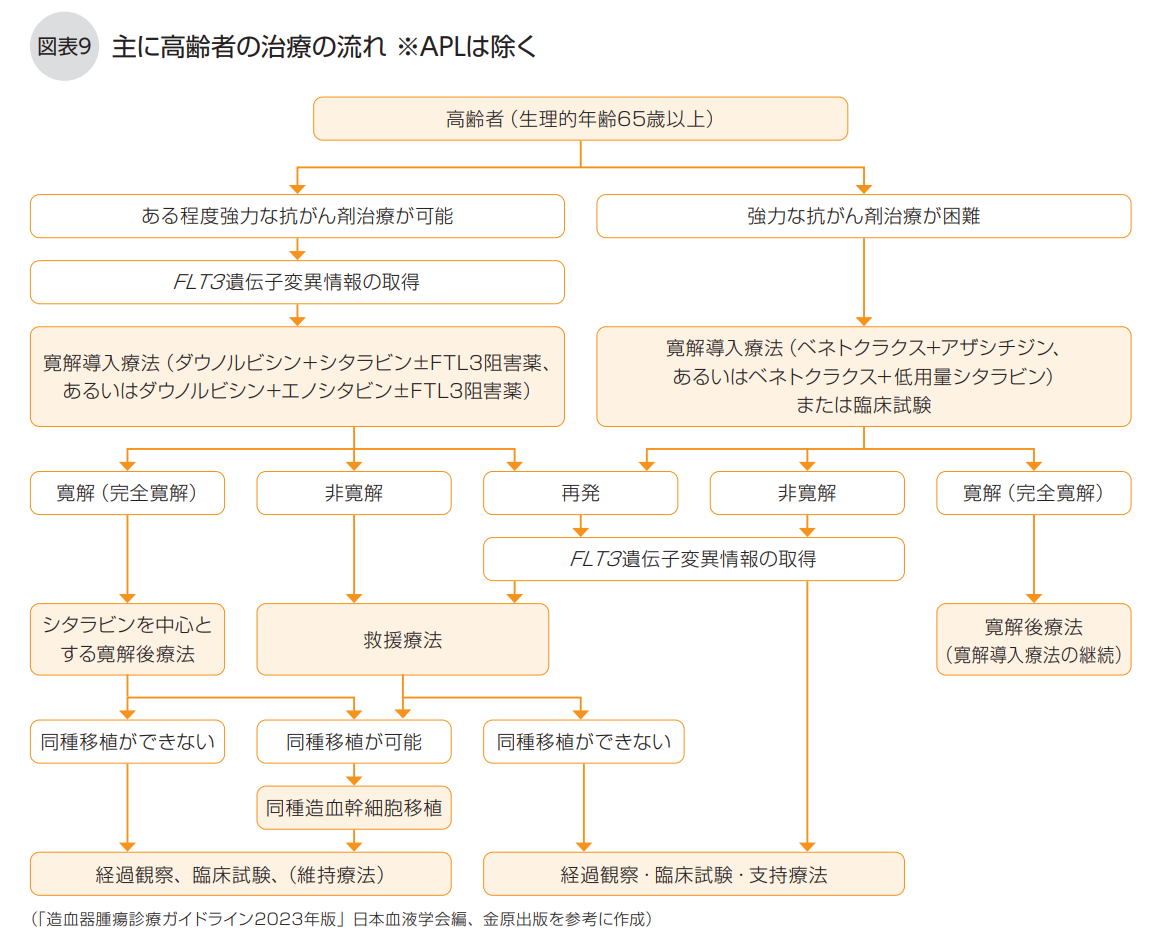 高齢者の治療の流れ