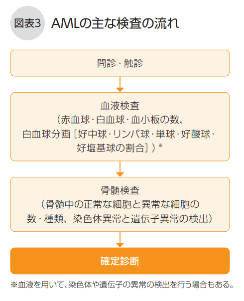 AMLの主な検査の流れ