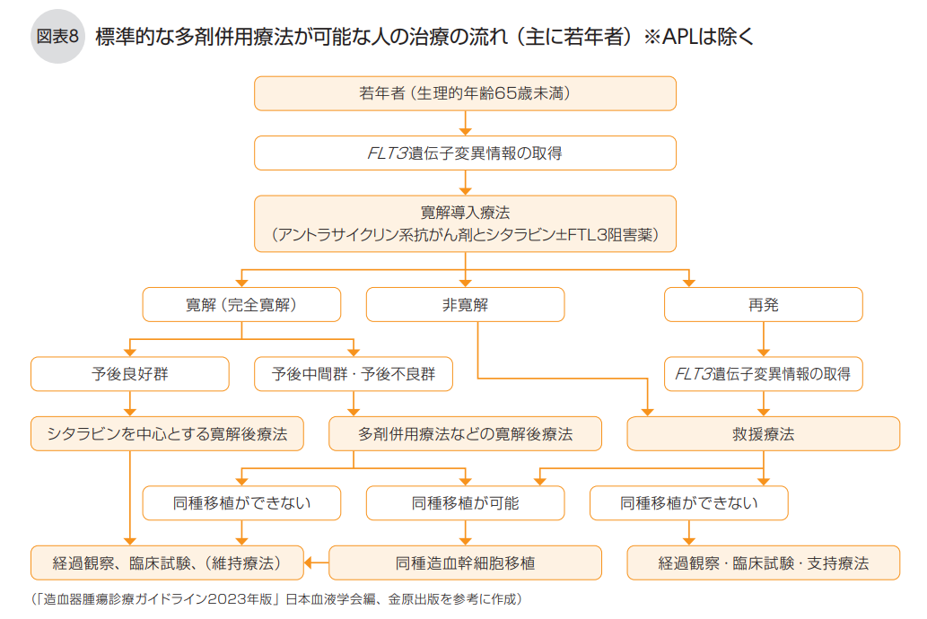 多剤併用療法治療の流れ