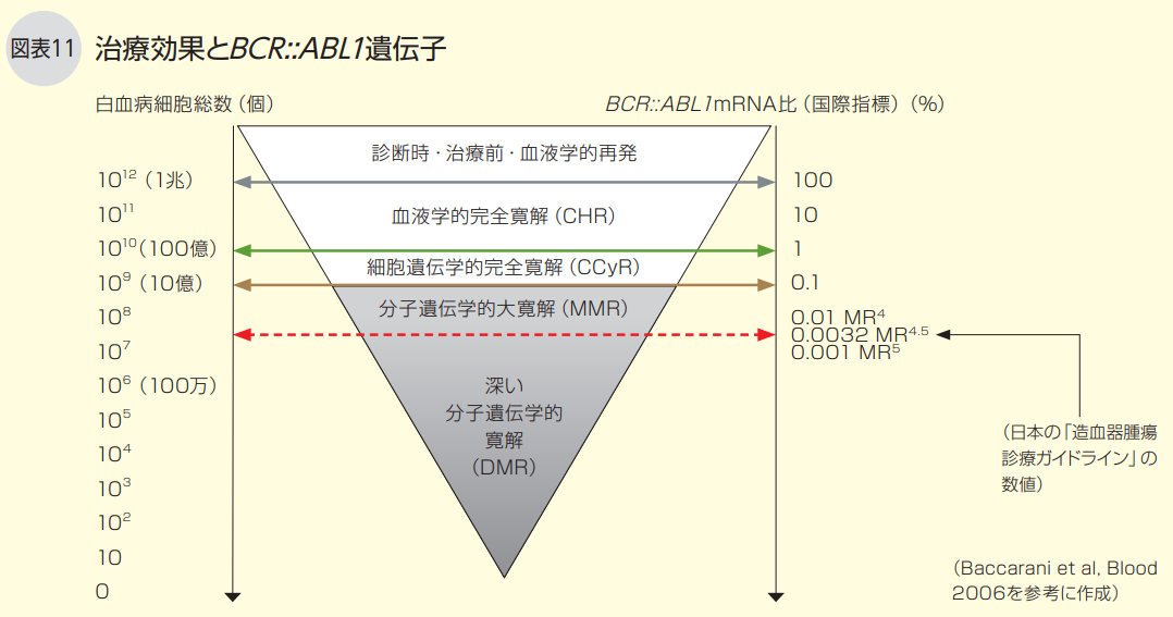 治療効果とBCR::ABL1遺伝子