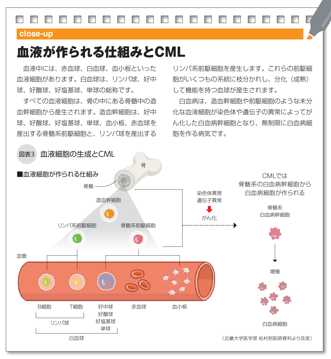 血液が作られる仕組みとCML