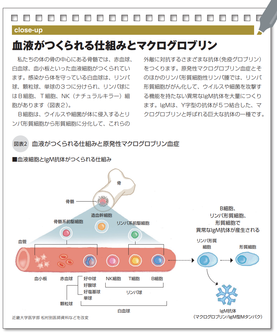 血液がつくられる仕組みとマクログロブリン