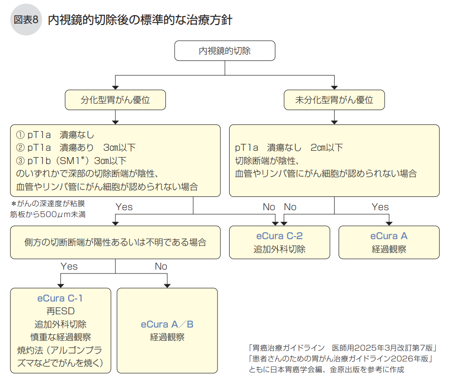 内視鏡的切除後の標準的な治療方針