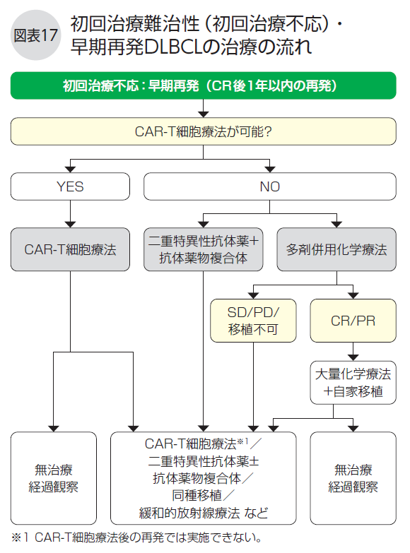 DLBCL冊子図17