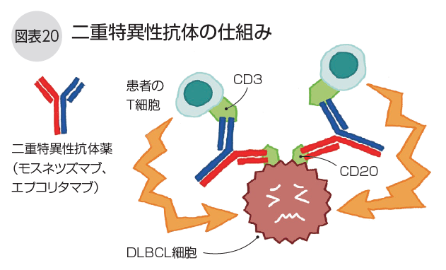 DLBCL冊子図20